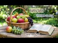Библия - чтение за год, 5 сентября. Ежедневное чтение Библии.