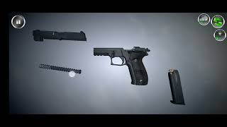 How To Disemble A Sig P226