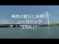 梅雨の一休み多摩川シーカヤック230617
