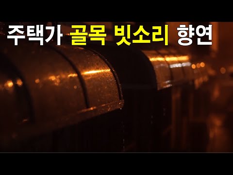 주택가 골목 빗소리 향연