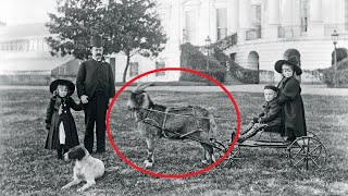 5 Interesting Presidential Pets