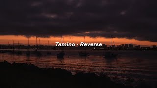 Tamino - Reverse (Lyrics) chords