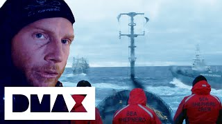 The Sea Shepherds Crash Into A Japanese Whaler Harpoon Ship | Whale Wars