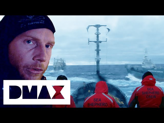 The Sea Shepherds Crash Into A Japanese Whaler Harpoon Ship | Whale Wars class=
