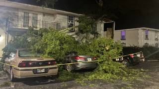 Thousands without power after strong storms topple trees