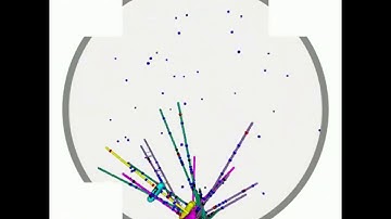 Rendering of spindle assembly and chromosome biorientation from a 3D simulation