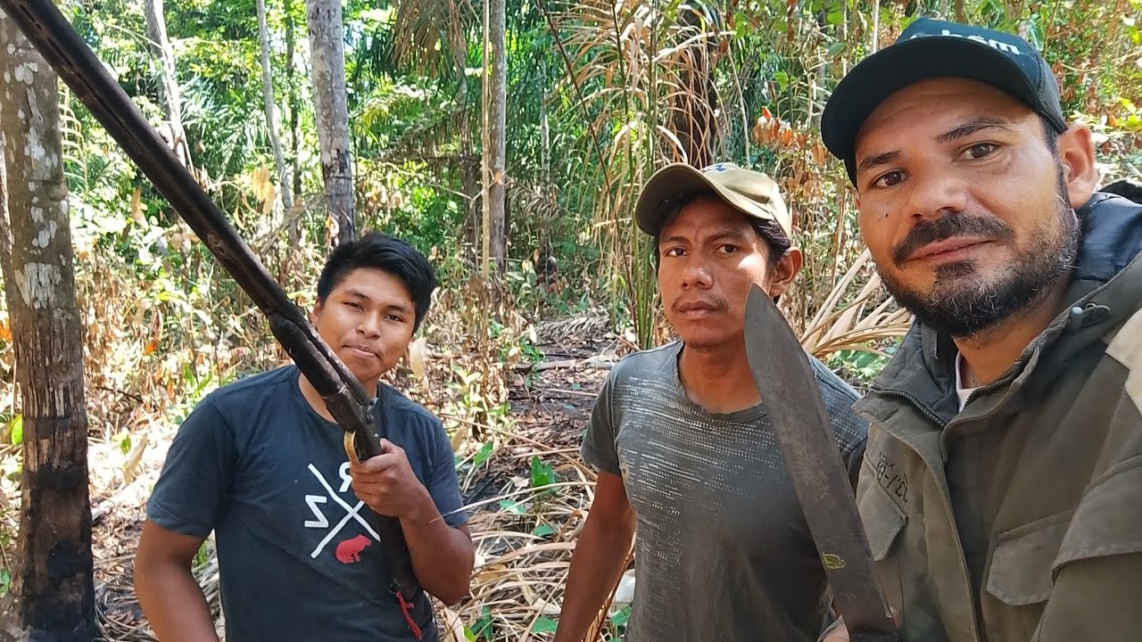 Caça selvagem no meio do território indígena no Tocantins Brasil - Apanhamos bacaba em pés de 30 M 