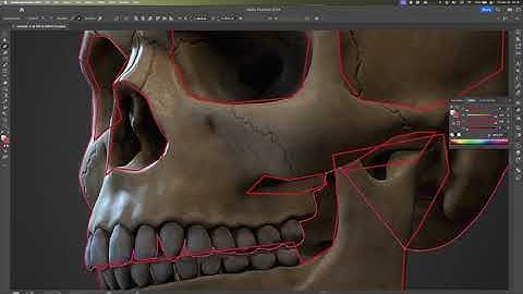 Creating Vector Graphic Skulls for Unique Designs