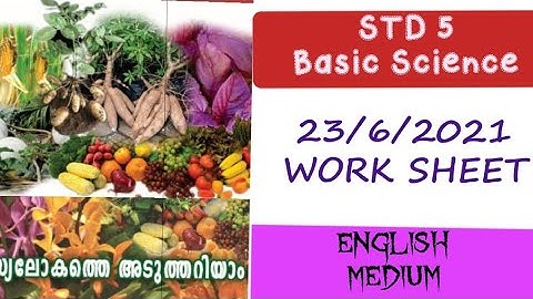 First bell class 5 Basic science/ work sheet/23/6/2021 English medium