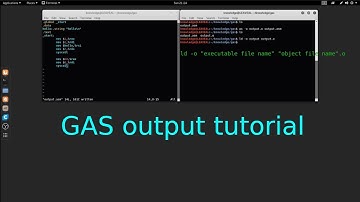 GAS x64 GNU Assembler output tutorial in Linux
