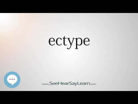تصویری: آیا ectype یک کلمه است؟