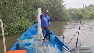Download Lagu 22/07/2025 Trip Cari Lauk at Sangkar Sungai Udang Penang MP3 Download Lagu 22/07/2025 Trip Cari Lauk at Sangkar Sungai Udang Penang MP3