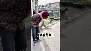 Animal Voice Prank Compilation 😂 #bark_prank #prankwithanimals #funnyanimals #animals