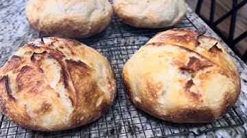 Using discard vs active sourdough starter