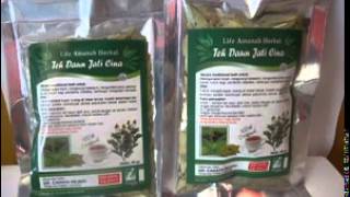 082331331539 Agen grosir termurah MINUMAN HERBAL PELANGSING | TEH DAUN JATI CINA  harga 55.000