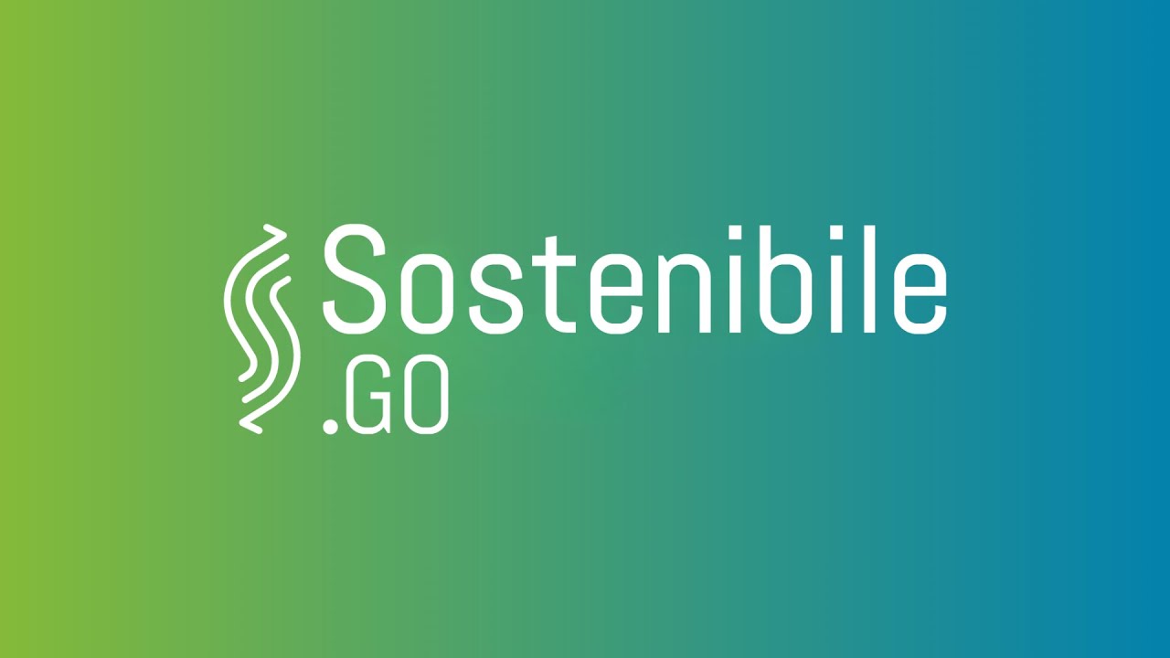 Sostenibile.Go Tutorial per la rendicontazione VSME