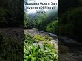 Suasana Adem dan Nyaman Pinggir Sungai #shorts