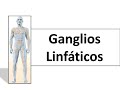 Ganglios linfáticos - Fisioterapia