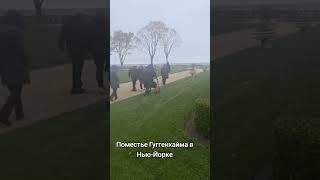 Поместье Гуггенхайма 🏰 Гид в Нью-Йорке #sorts #гиды #экскурсия #туры