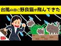 台風の日に飛んできた野良猫の親を探した結果www