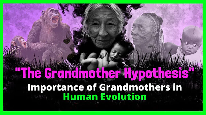 Grandmother Hypothesis and Human Evolution | why d...