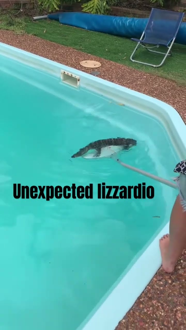 Unexpected guest playing the my skin