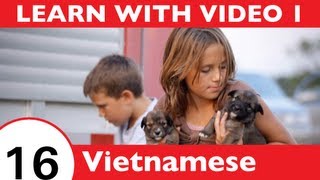 Learn Vietnamese with Video - All the Joy of Learning Vietnamese Begins Right Here!