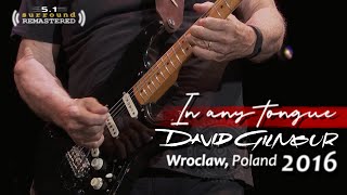 David Gilmour - In Any Tongue 🔈 5.1 REMASTERED | Wroclaw, Poland - June 25th, 2016 | 4K-60fps | SUBS screenshot 5