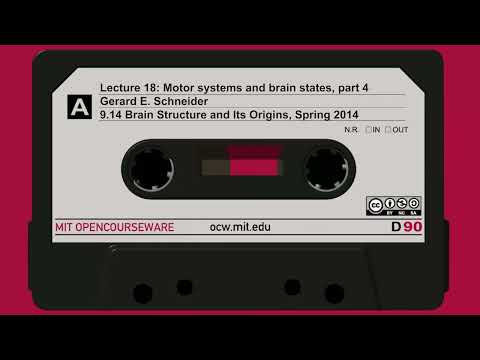 18. Motor systems and brain states, part 4 thumbnail