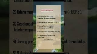 Download Lagu #shorts  Fakta Menarik MP3
