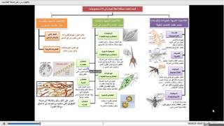 أحياء تحصيلي  5