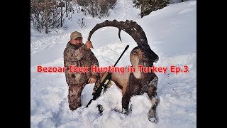 Massive Bezoar Ibex Hunting in Turkey