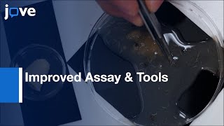 Improved Assay & Tools For Measuring Mechanical Nociception In Drosophila Larvae l Protocol Preview