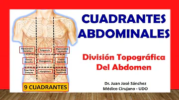 ¿Cómo se divide la cavidad abdominal?