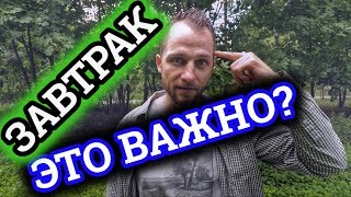 Видео ПОЧЕМУ Я ПЕРЕСТАЛ ЗАВТРАКАТЬ | ПЕРИОДИЧЕСКОЕ ГОЛОДАНИЕ (автор: Андрей Рожков)
