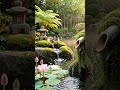 Soft Piano & Bamboo Water 🌸 Anxiety Relief & Inner Peace #shorts