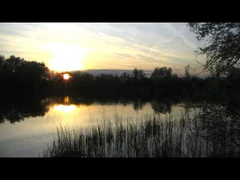 Willow Lake ~ Stand By Your Buzzers Pt 19