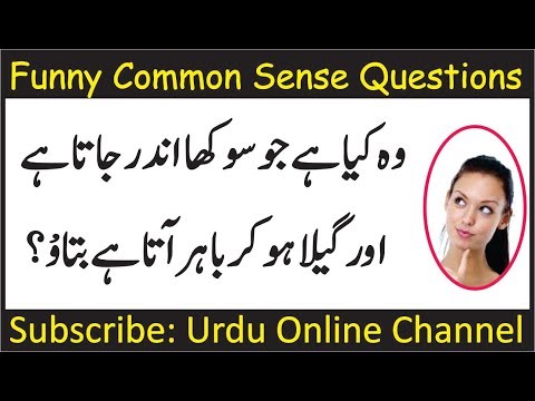 funny-questions-to-ask-people-|-common-sense-test-|-double-meaning-question-|-gk-in-hindi