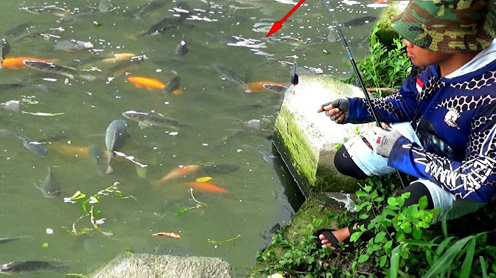 BIMBANG❗AWALNYA TAKUT KENA DENDA CARI IKAN DI SINI #HC430