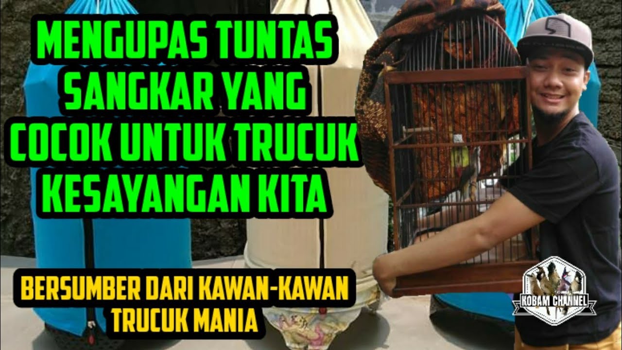 TRUCUKAN BAIKNYA PAKAI SANGKAR APA | KUPAS TUNTAS SEPUTAR SANGKAR