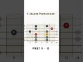 C Major Pentatonnic (Fret 9 - 13)