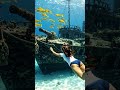Discovering an Ancient Shipwreck Underwater 🌊⚓ #shorts