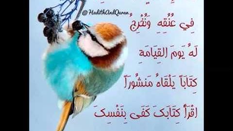 ابداع رقيق عبد الكريم 11 / من سورة ابراهيم