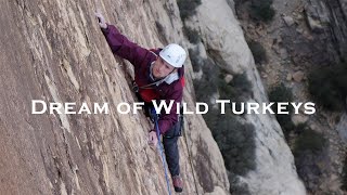 Dream of Wild Turkeys - A Red Rocks Classic