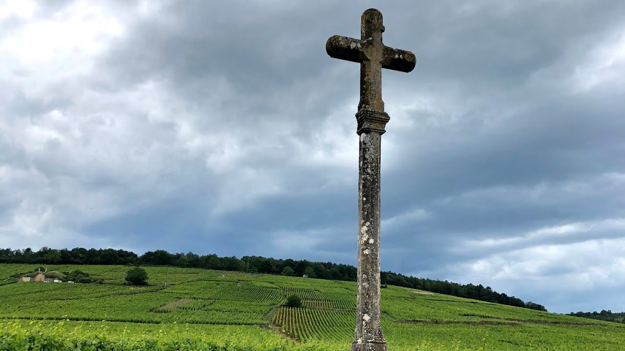 По дороге Гран Крю. История домена Романе Конти.  Вина Бургундии.