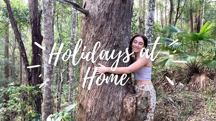 Welcome to my Backyard Forest. Christmas holidays ...