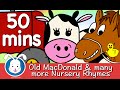 Old MacDonald Had A Farm & More Nursery Rhymes with lyrics