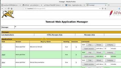 Curso Tomcat 11- Repaso de la herramienta Probe