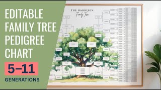 Editable Family Tree Chart (5–11 Generations) | Pedigree & Genealogy Template in Canva