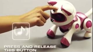 teksta robotic kitty